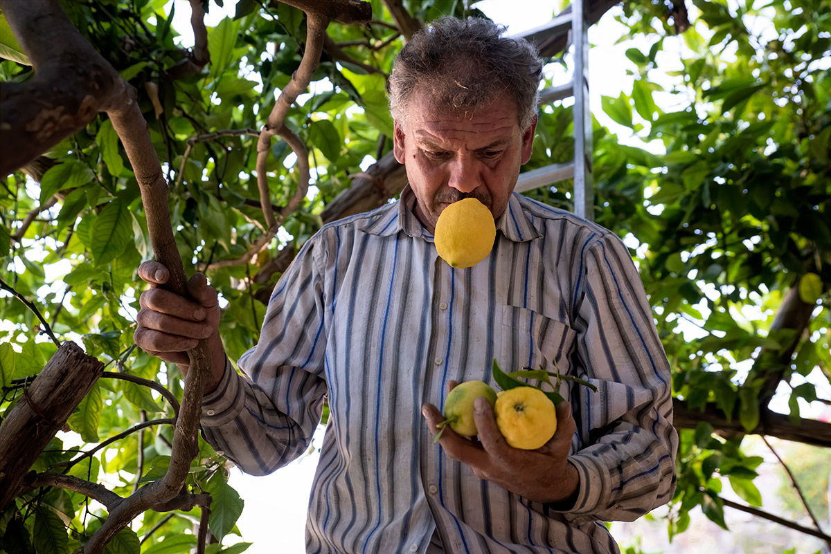 lemon tour amalfi - emiliano russo