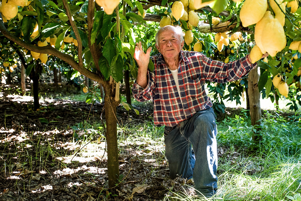 lemon tour amalfi - emiliano russo