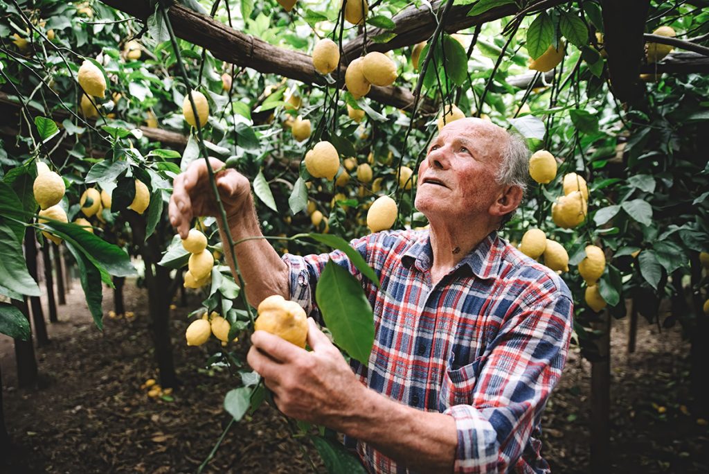 lemon tour amalfi - emiliano russo