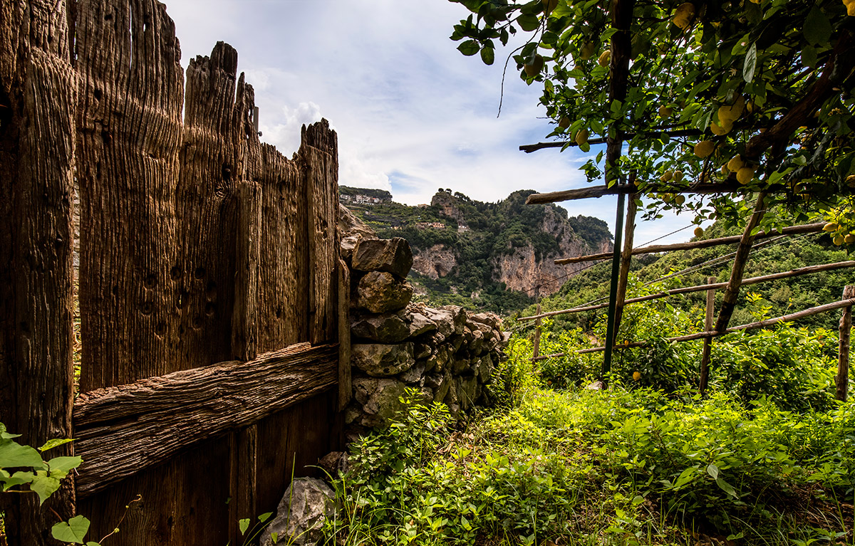 lemon tour amalfi - emiliano russo