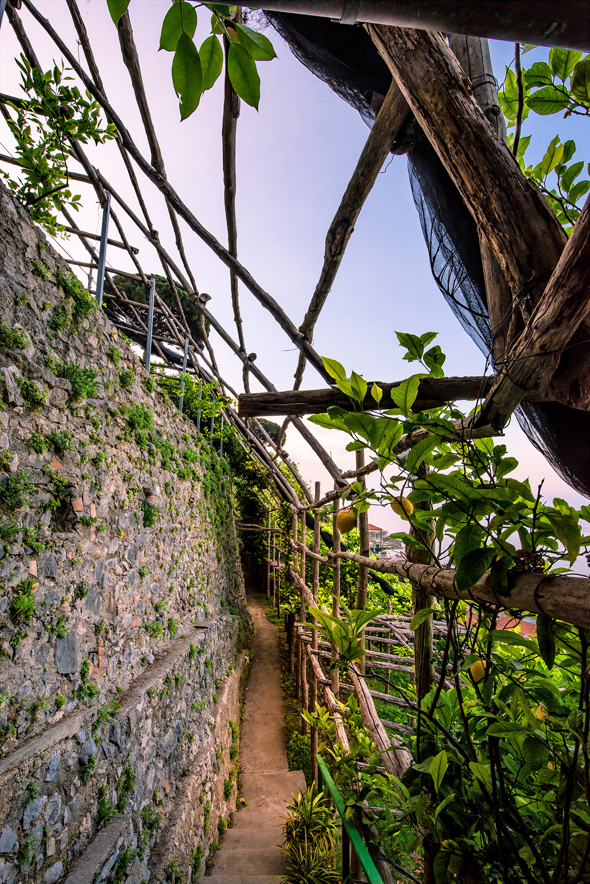 lemon tour amalfi - emiliano russo