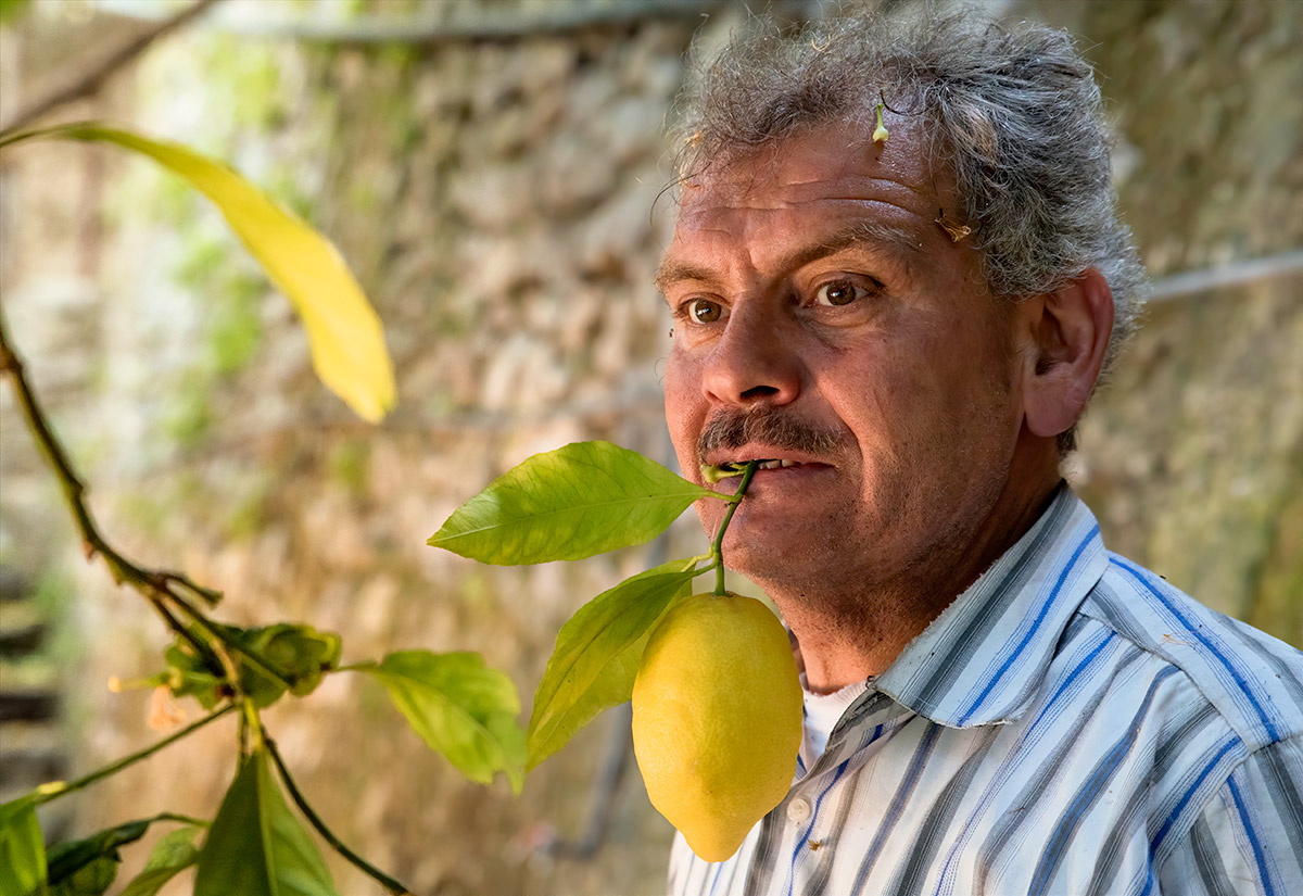 lemon tour amalfi - emiliano russo