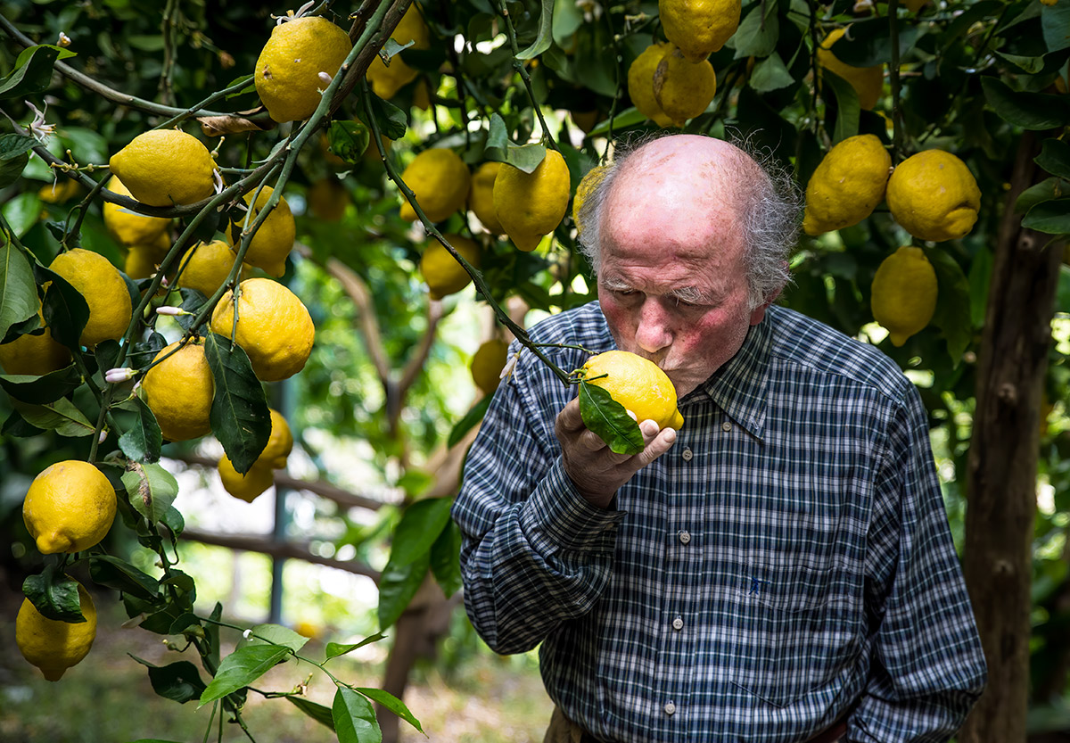 lemon tour amalfi - emiliano russo