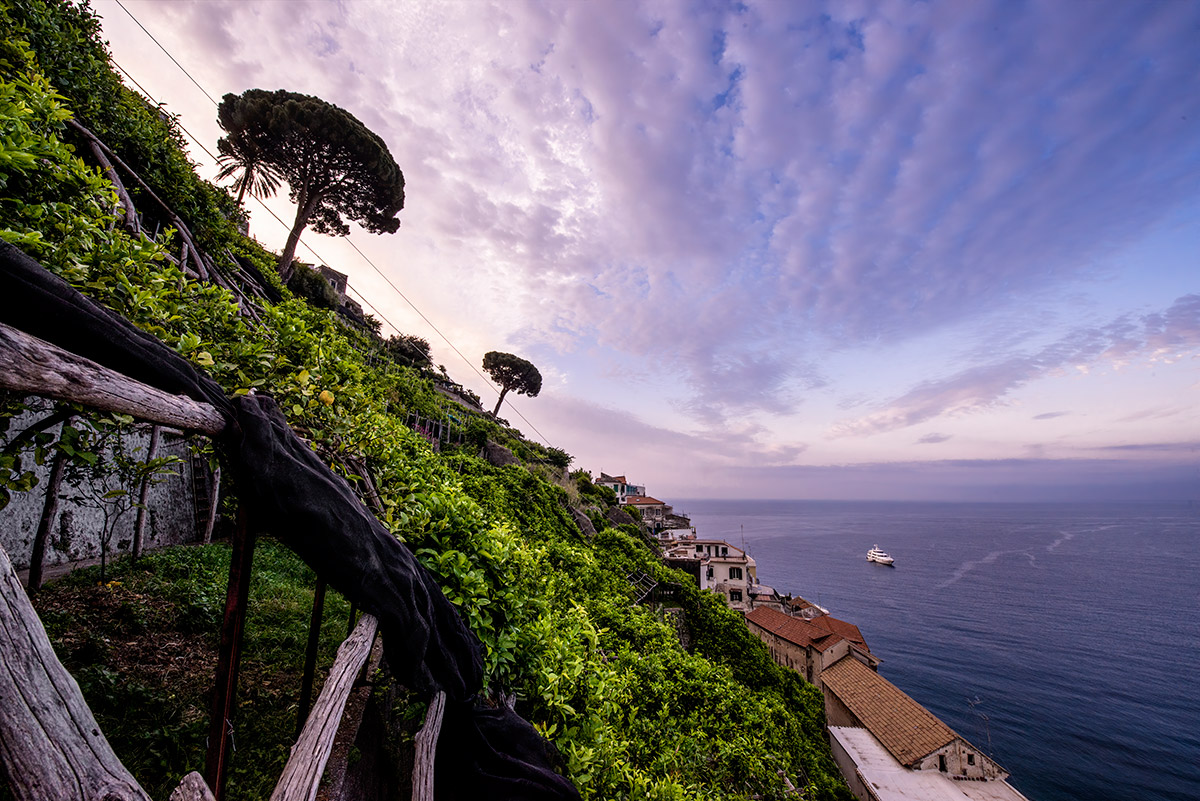 lemon tour amalfi - emiliano russo