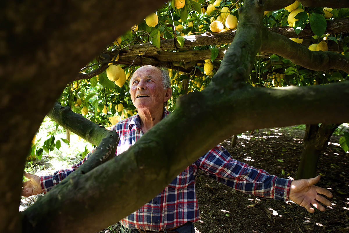 lemon tour amalfi - emiliano russo