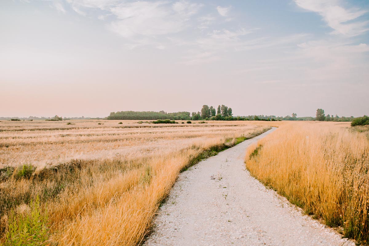 Tuscany wedding planner - Emiliano Russo