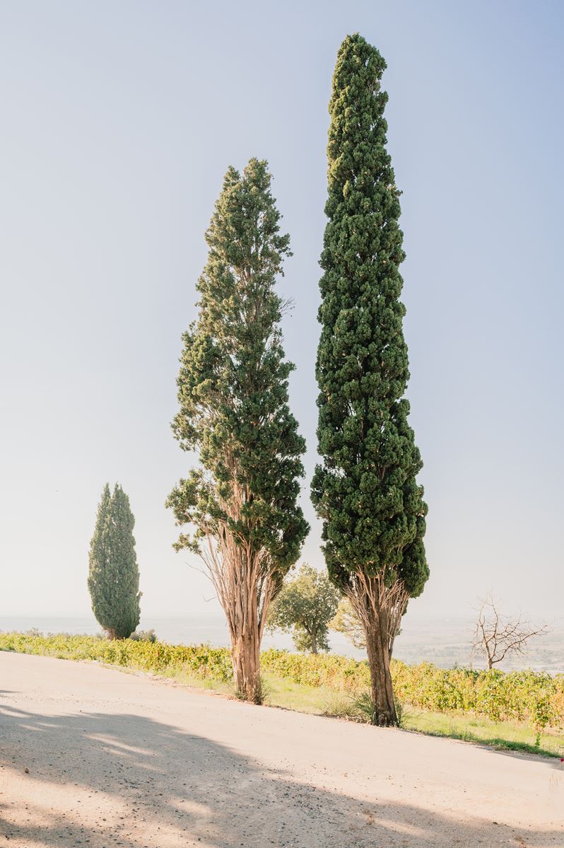 Bonaria Castle wedding in Maremma Tuscany